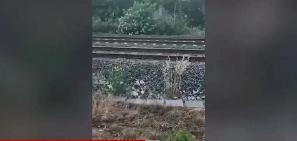 Λεπτοκαρυά: Αφύλακτη η διάβαση τρένου ενώ παιδιά παίζουν σε απόσταση 20 μέτρων