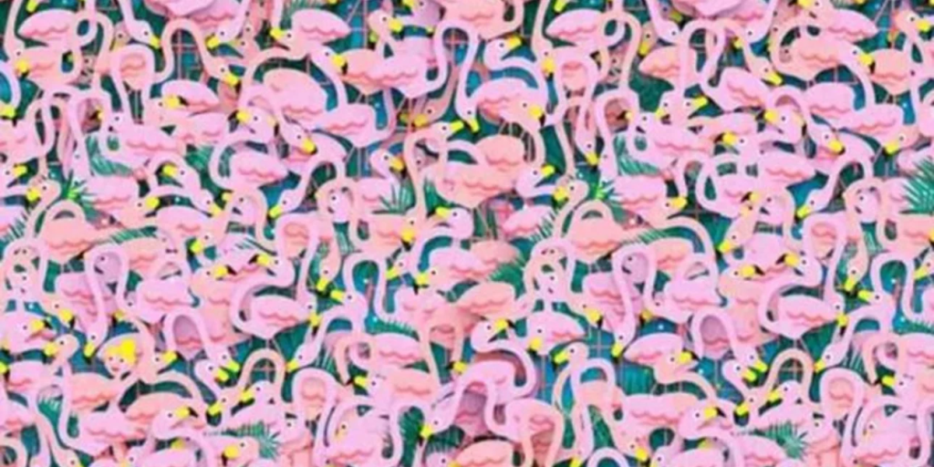 Η οπτική ψευδαίσθηση με τα ροζ φλαμίνγκο που θα σας… «τρελάνει» – Μπορείτε να βρείτε τη μπαλαρίνα; (φώτο)