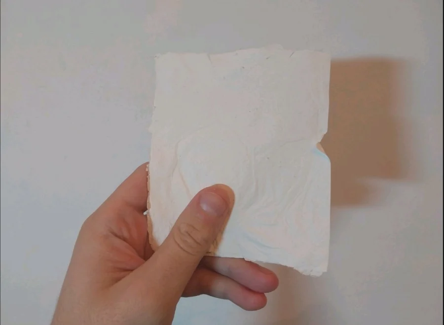 Έλληνες επιστήμονες δημιούργησαν χαρτί από βακτήρια – Πώς το κατάφεραν