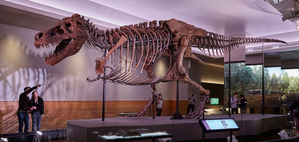 Ελβετία: Σε δημοπρασία βγαίνει ένας σκελετός Τυραννόσαυρου Ρεξ