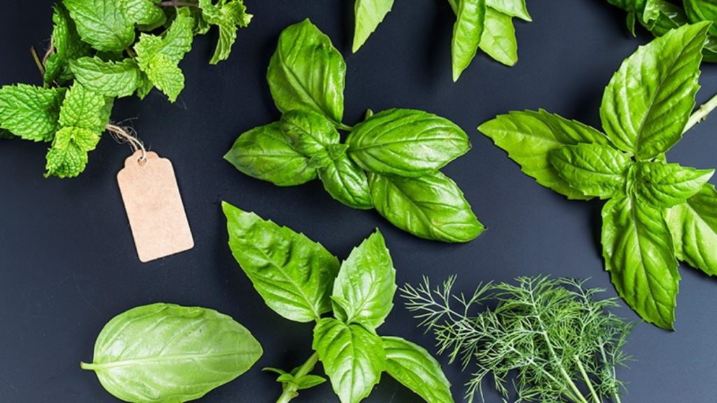 Με αυτά τα βότανα θα ανακουφιστείτε από το σύνδρομο ευερέθιστου εντέρου