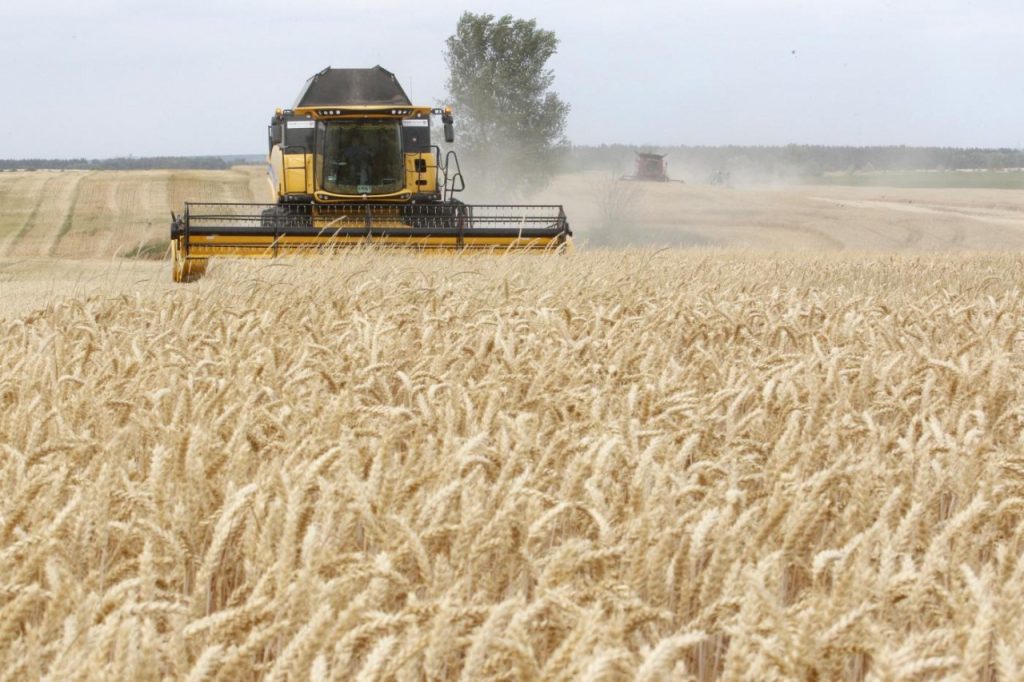 Ρωσία: Ξεκίνησαν οι συνομιλίες με τον ΟΗΕ για την παράταση της συμφωνίας για τα σιτηρά