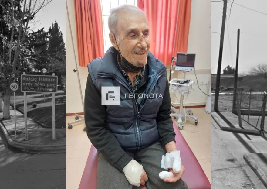 Βόλος: 93χρονος δέχθηκε άγρια επίθεση από αδέσποτα σκυλιά