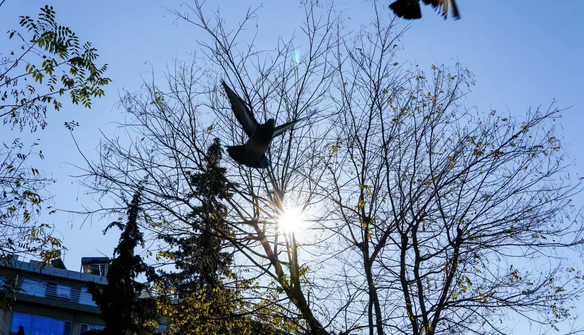 Καιρός: Ανοιξιάτικος σήμερα με 20αρια – Αναλυτική πρόγνωση