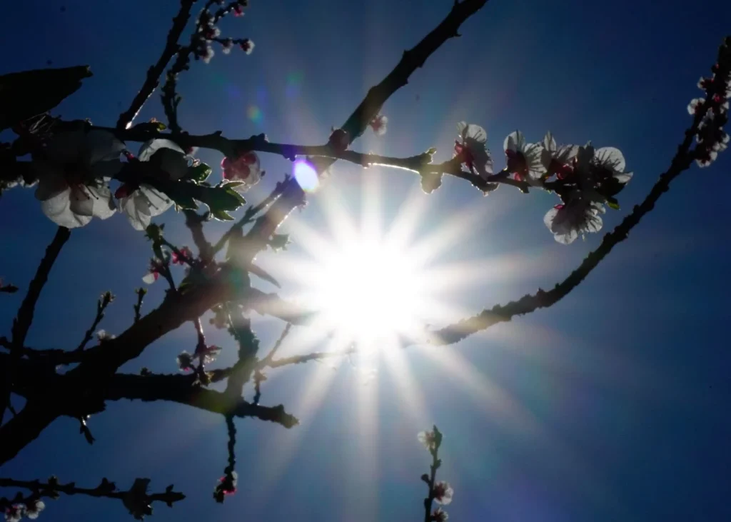 Καιρός: Ανεβαίνει η θερμοκρασία μέσα στο Σαββατοκύριακο – Πώς θα είναι ανήμερα της 25ης Μαρτίου
