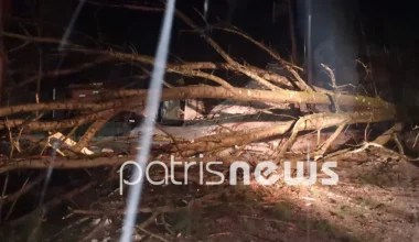 Ηλεία: Δέντρο καταπλάκωσε και σκότωσε ηλικιωμένο στα Κρέστενα