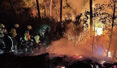Ισπανία: Εκτός ελέγχου μεγάλη πυρκαγιά – Εκατοντάδες άνθρωποι απομακρύνθηκαν από τα σπίτια τους (βίντεο)
