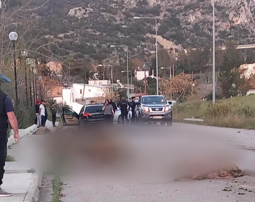 Πρωτοφανές περιστατικό στον Ασπρόπυργο: Αυτοκίνητο χωρίς πινακίδες παρέσυρε και σκότωσε 15 πρόβατα