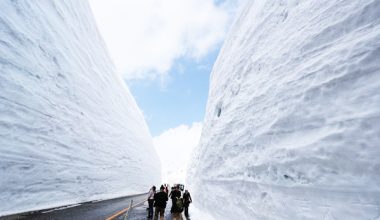 Εντυπωσιακές εικόνες: Διασχίζοντας τα τεράστια «τείχη του χιονιού» (φωτο)