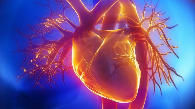 Νέα μελέτη: Ειδική φωτοθεραπεία μπορεί να επιβραδύνει την καρδιαγγειακή γήρανση