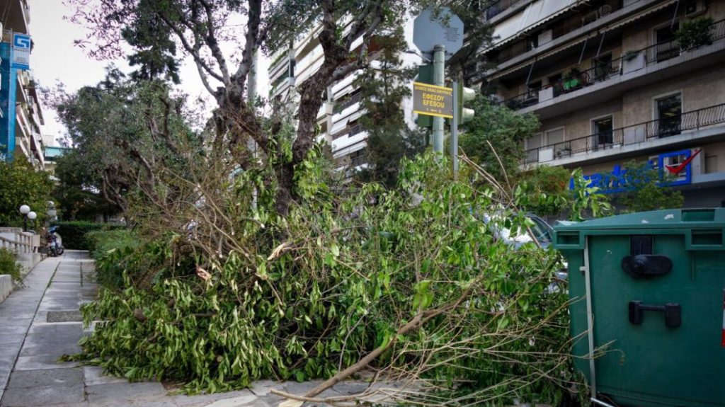 Δυνατοί άνεμοι στη Θεσσαλονίκη – Διακοπές ηλεκτροδότησης και πτώσεις δέντρων