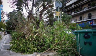 Δυνατοί άνεμοι στη Θεσσαλονίκη – Διακοπές ηλεκτροδότησης και πτώσεις δέντρων