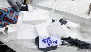 Νορβηγία: Κατασχέθηκε η μεγαλύτερη ποσότητα κοκαΐνης που έχει εντοπιστεί ποτέ στη χώρα