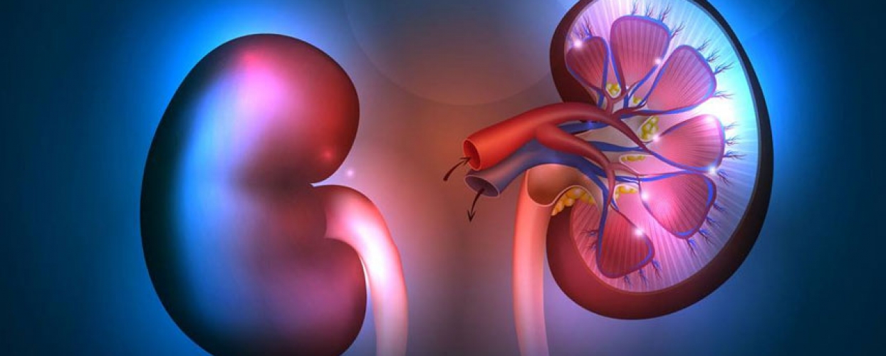 Τα δέκα βασικά συμπτώματα με τα οποία εκδηλώνεται η νεφρική νόσος
