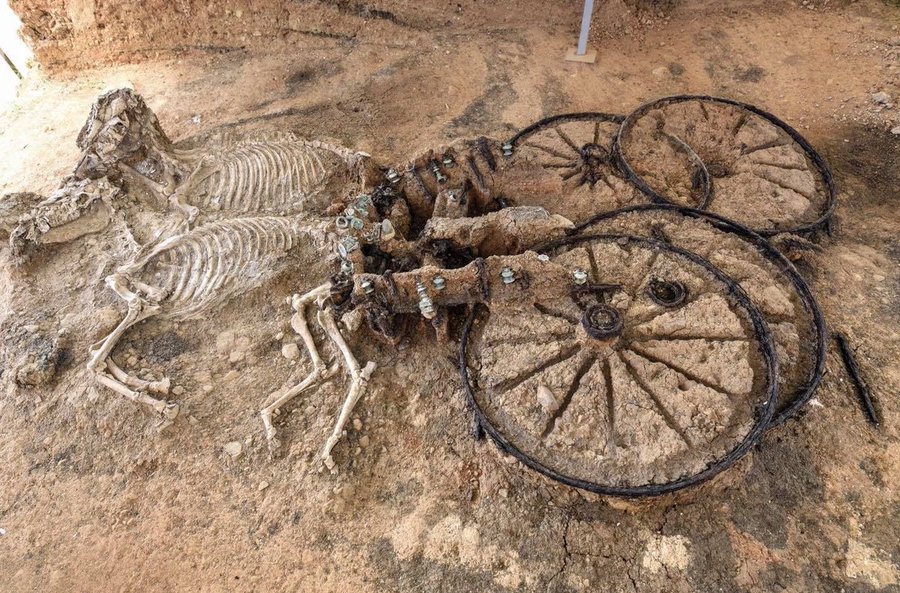 Αρχαιολόγος ανακάλυψε θρακικό άρμα 2.000 ετών με σκελετούς αλόγων (φωτο)