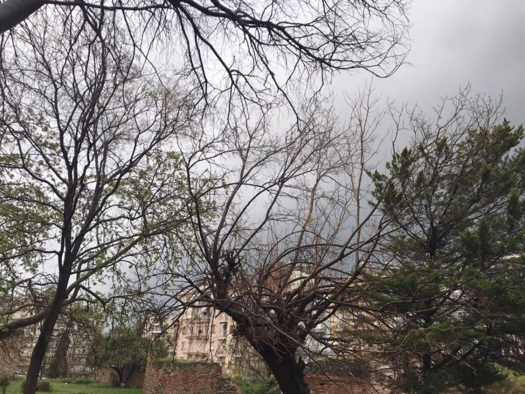 Κακοκαιρία «Ιλίνα»: Καταιγίδα και πτώσεις δέντρων στη Θεσσαλονίκη (βίντεο)