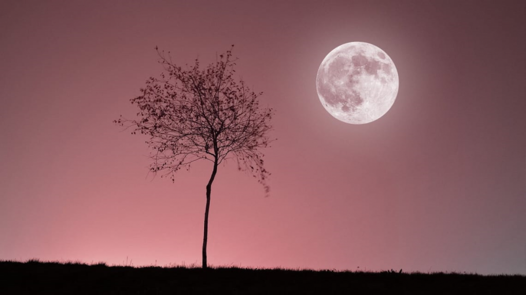 Πλησιάζει η πανσέληνος Απριλίου: Πότε θα δούμε το «Ροζ Φεγγάρι»
