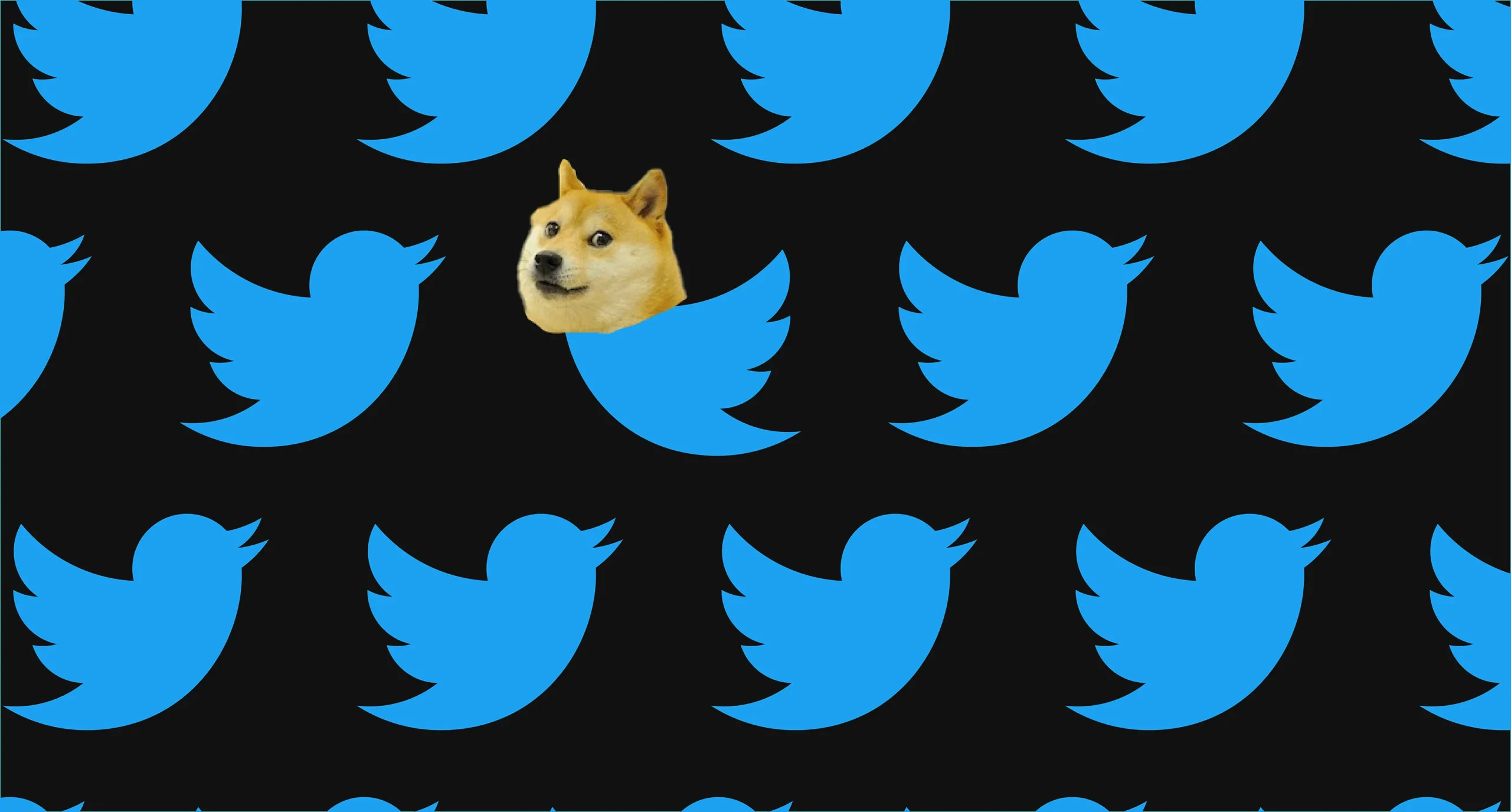 Twitter: «Πέταξε» το πουλί και στη θέση μπήκε σκύλος…  – Ο Έλον Μασκ άλλαξε το logo  με το  «Doge»