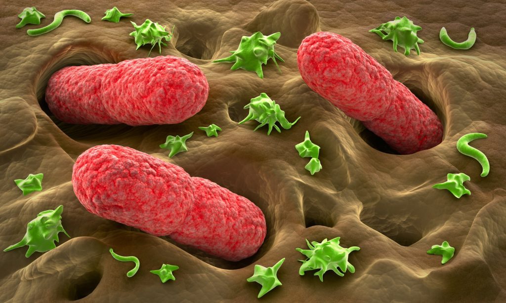 Νέα μελέτη για τα βακτήρια του εντέρου: Ποιος ο ρόλος τους στην επιβίωση από καρκίνο του παγκρέατος