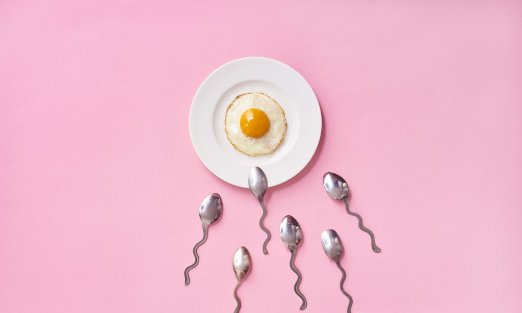Τελικά τι ισχύει; – Τα αυγά ενισχύουν τη γονιμότητα ή όχι;