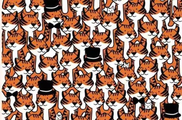 Η οπτική ψευδαίσθηση που θα σας… «τρελάνει» – Μπορείτε να βρείτε τα γατάκια; (φώτο)