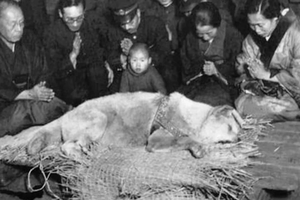 Η τελευταία ιστορική φωτογραφία του Χάτσικο – Ο σκύλος που έγινε σύμβολο αφοσίωσης (φωτό-βίντεο)