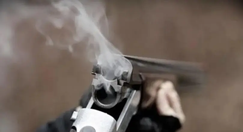 Λάρισα: Άγνωστος πυροβόλησε αδέσποτη σκυλίτσα στον Αμπελώνα