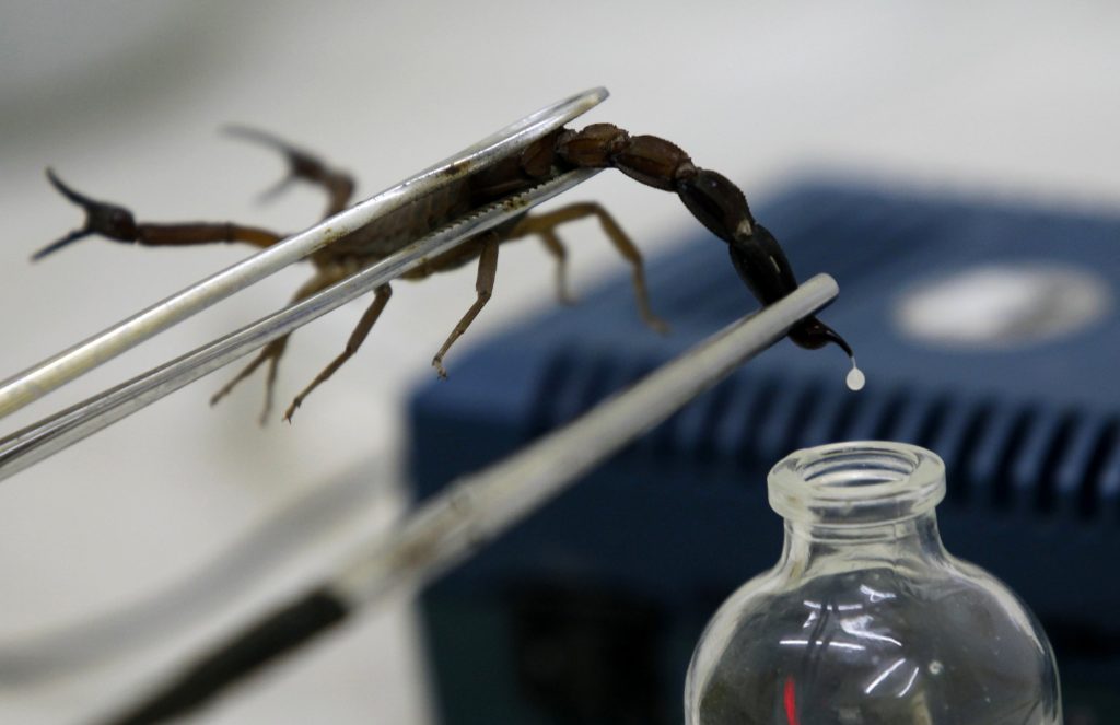Δείτε για ποιο λόγο το δηλητήριο του σκορπιού είναι το πιο ακριβό υγρό στον κόσμο