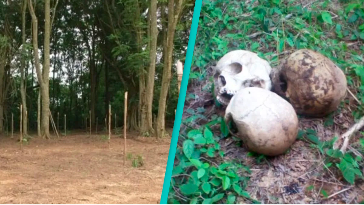 Νιγηρία: Αυτό είναι το «Δάσος του Τρόμου» όπου αμέτρητοι άνθρωποι εξαφανίστηκαν μυστηριωδώς