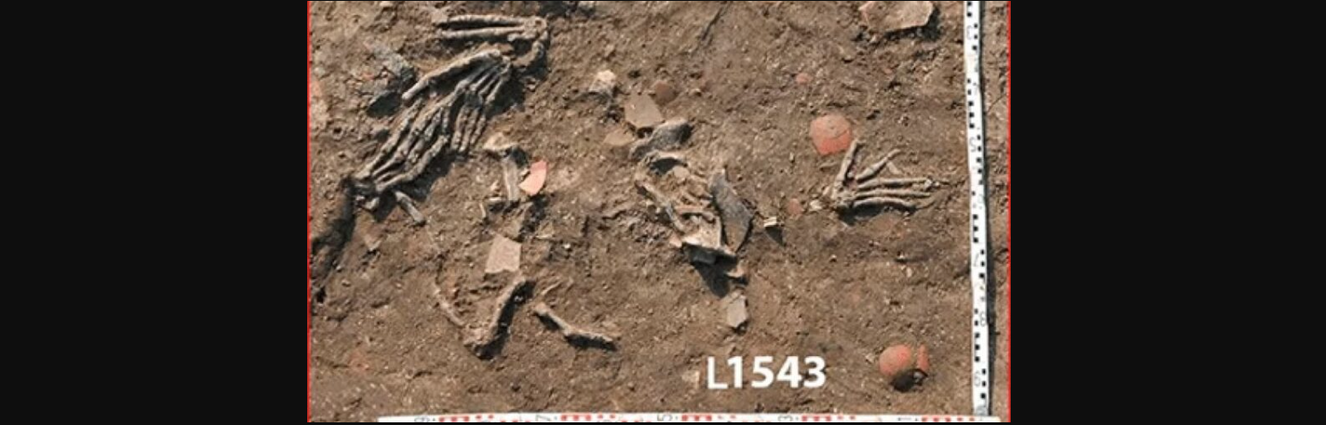 Αίγυπτος: Η κρύπτη των κομμένων χεριών – Το μακάβριο εύρημα που βρέθηκε σε παλάτι των Hyksos