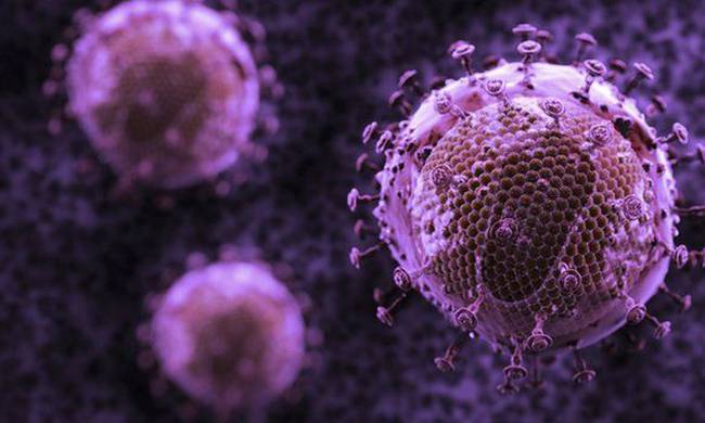 Πανάρχαιοι ιοί  βοηθούν στην καταπολέμηση του καρκίνου σύμφωνα με τους επιστήμονες