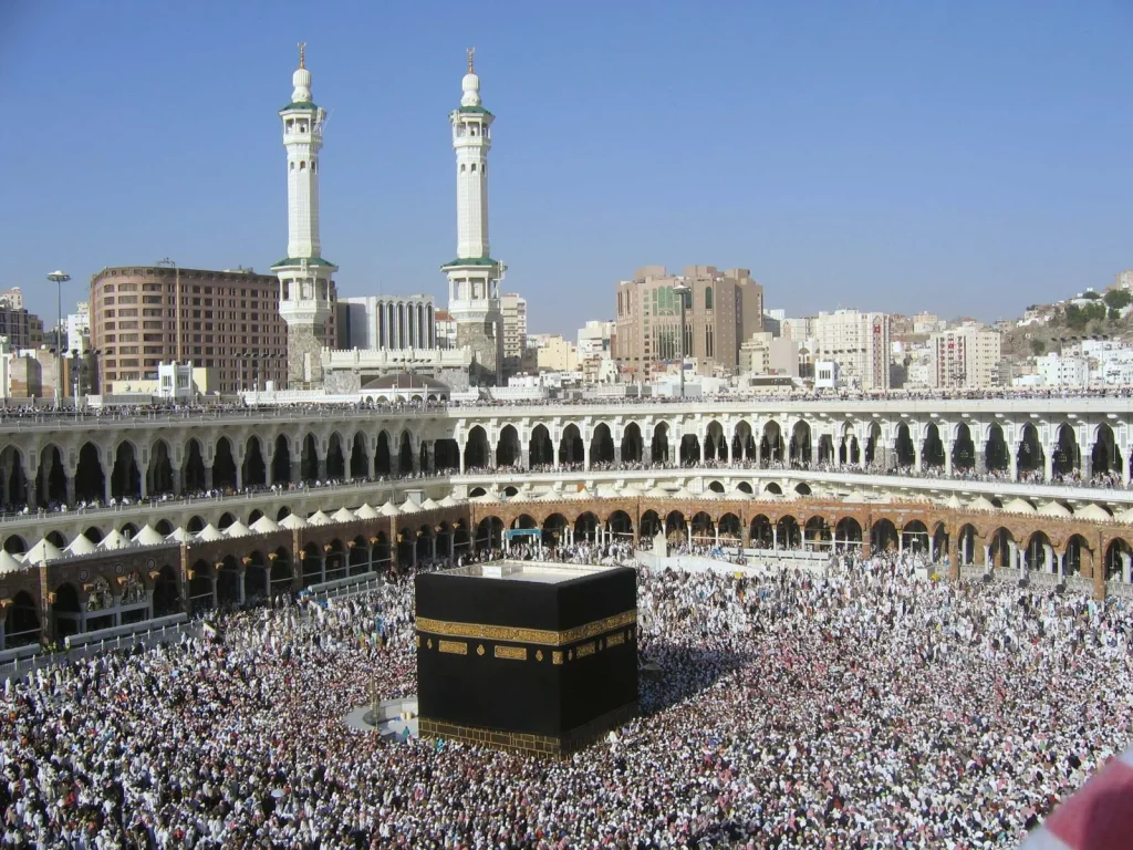 Μέκκα: Εκατομμύρια ζωύφια κατέκλυσαν το χώρο του «Μεγάλου Τζαμιού»