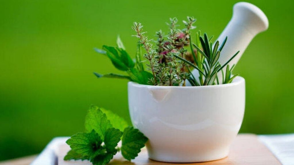 Τα πέντε βότανα που θα σας βοηθήσουν στην απώλεια βάρους