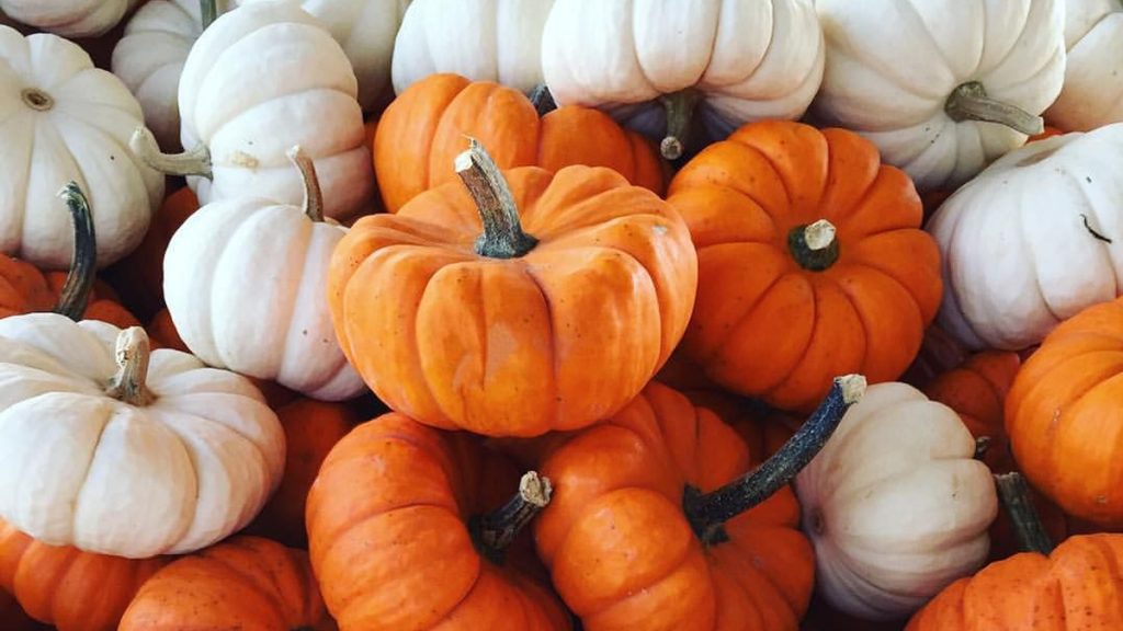 Ακμή: Μπορεί το έλαιο σπόρου κολοκύθας να συμβάλει στη θεραπεία της;