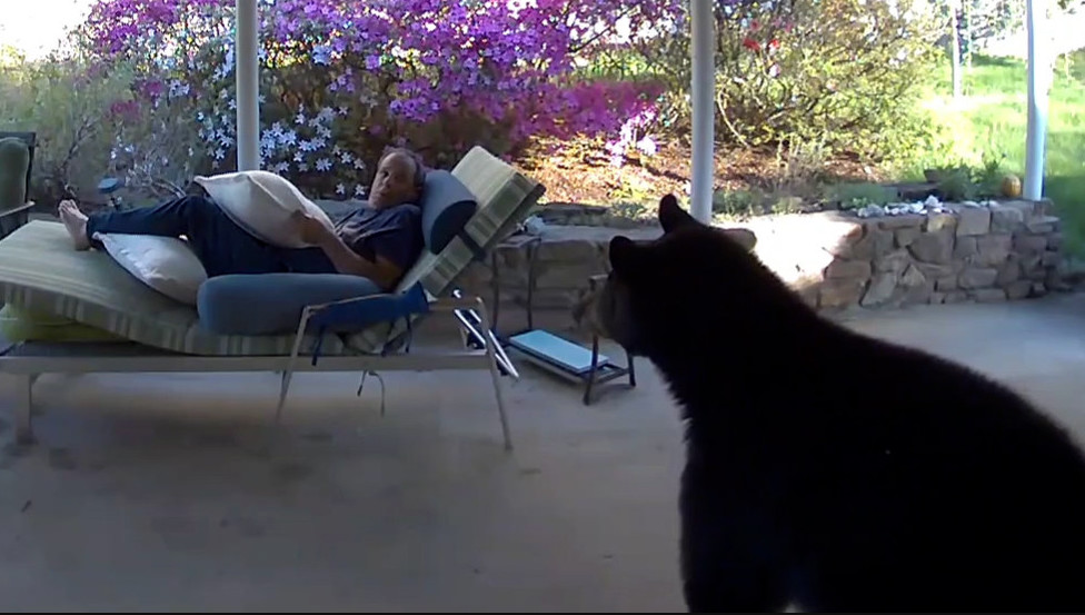 Δεν πίστευε στα μάτια του: Άνδρας στις ΗΠΑ έπεσε «μούρη με μούρη» με αρκούδα – Τον επισκέφθηκε στη βεράντα του (βίντεο)