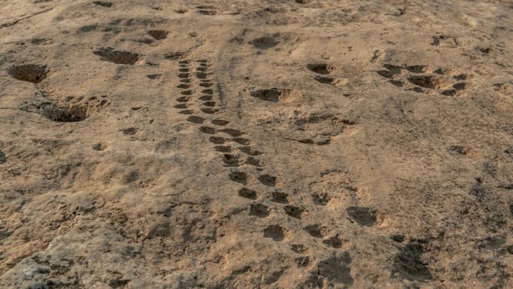 Τι συμβολίζουν τα μυστηριώδη πετρογλυφικά που είναι σκαλισμένα στην έρημο του Κατάρ; (φωτό)