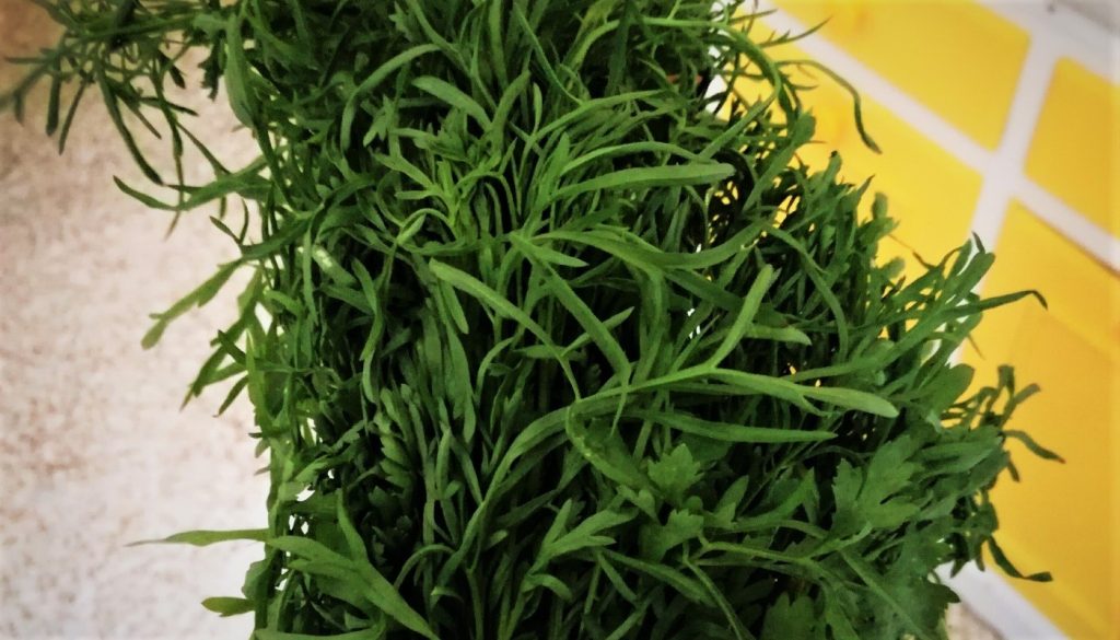 Κάρδαμο: Ποια είναι τα απίστευτα οφέλη του μπαχαρικού για την υγεία