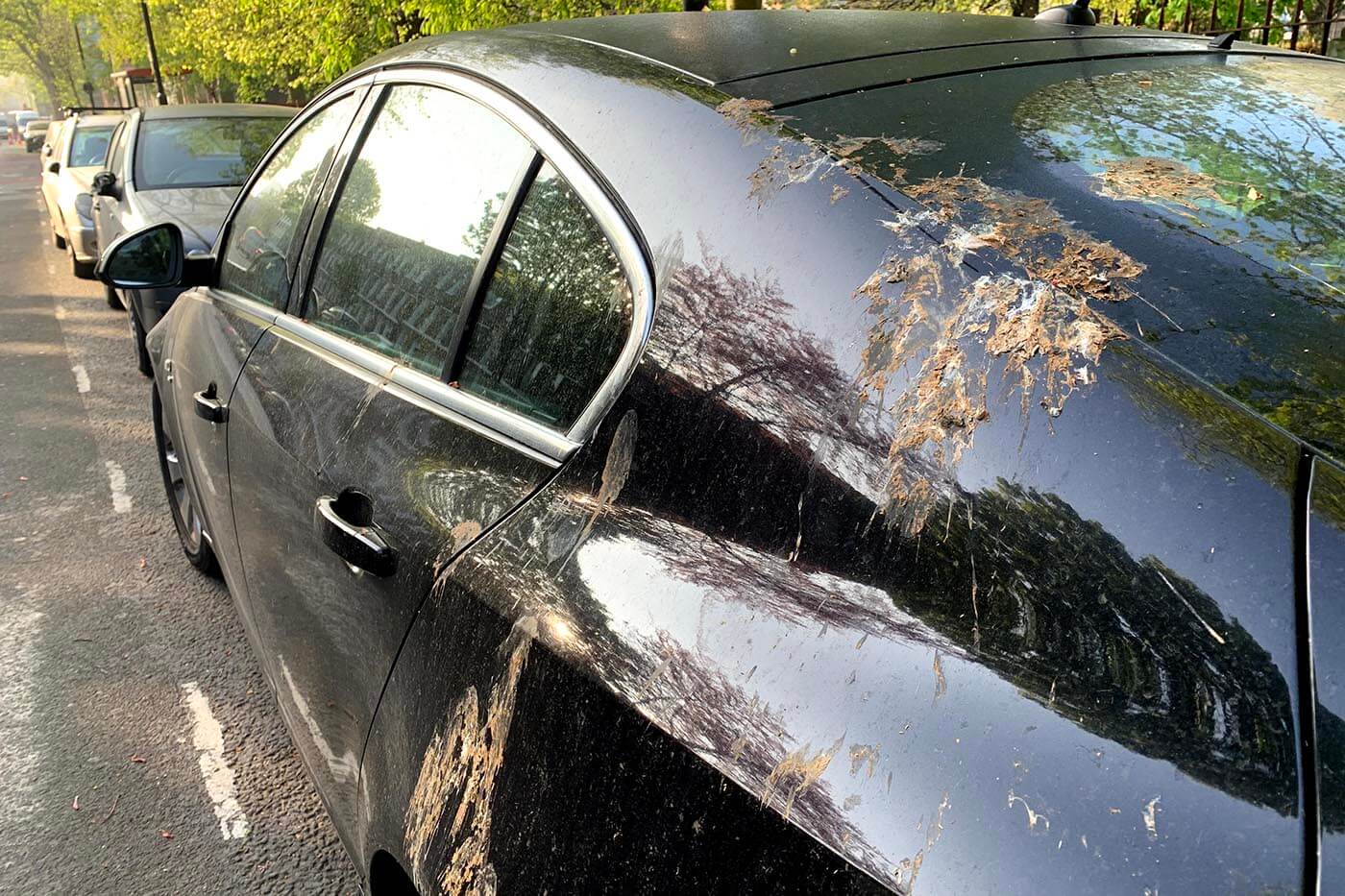 Δύο σίγουροι τρόποι για να βγάλετε τις κουτσουλιές από το αμάξι σας