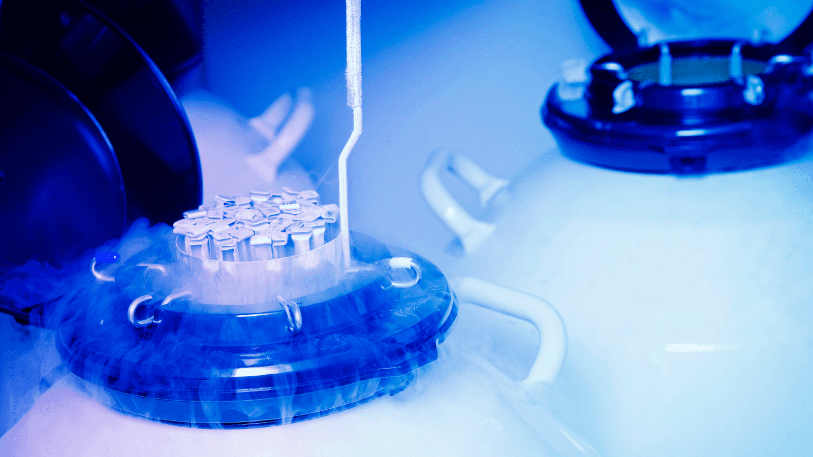 Μητρότητα: Τι οδηγεί τις γυναίκες στην κατάψυξη ωαρίων;