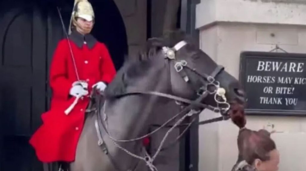 Βρετανία: Viral έγινε άλογο της βασιλικής φρουράς που δάγκωσε την κοτσίδα τουρίστριας (βίντεο)