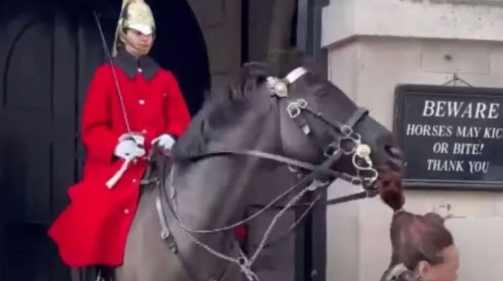 Βρετανία: Viral έγινε άλογο της βασιλικής φρουράς που δάγκωσε την κοτσίδα τουρίστριας (βίντεο)