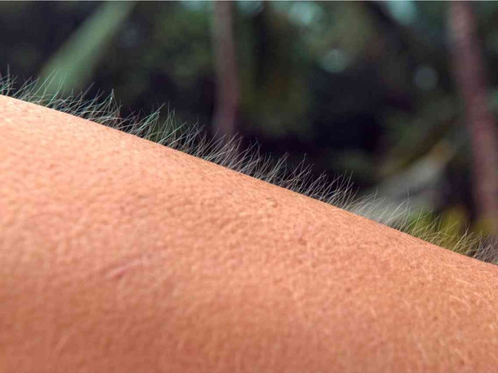 Αυτό το γνωρίζατε; – Γιατί η μουσική προκαλεί ανατριχίλα;