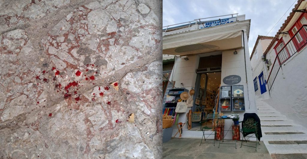 Ύδρα: Απολογείται στον ανακριτή σήμερα ο 58χρονος που πέταξε τη γάτα από την ταράτσα – Πέρασε τη νύχτα στα κρατητήρια