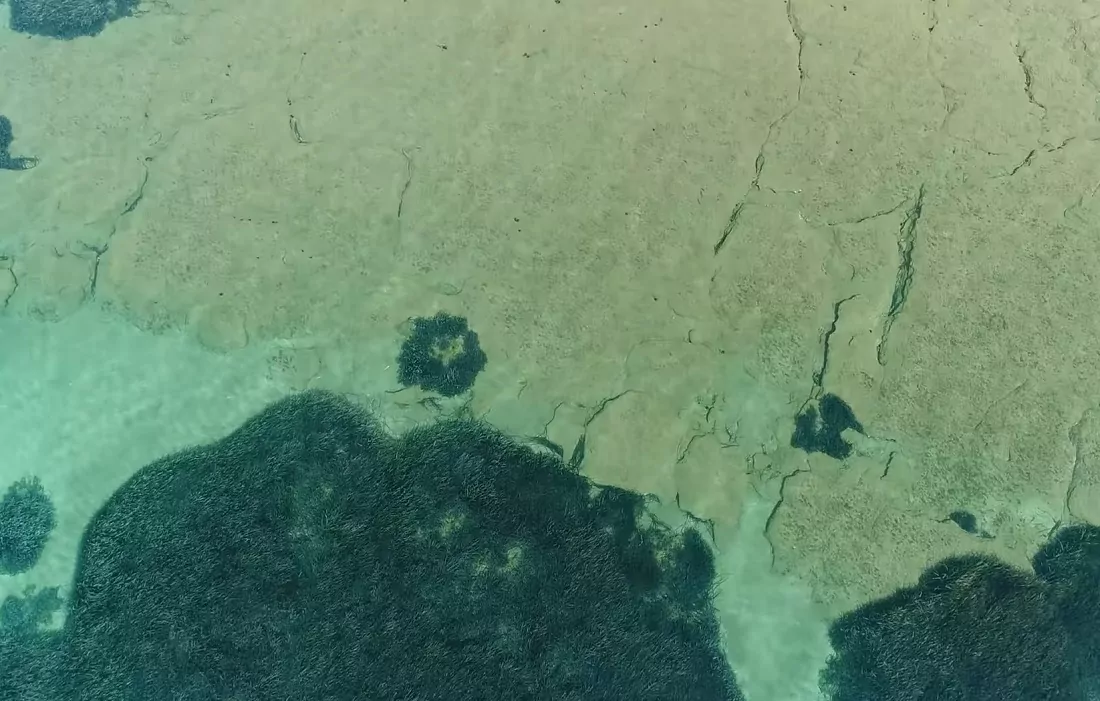 «Παγωμένα Κύματα»: Ένα ιδιαίτερο φαινόμενο στον Αργοσαρωνικό