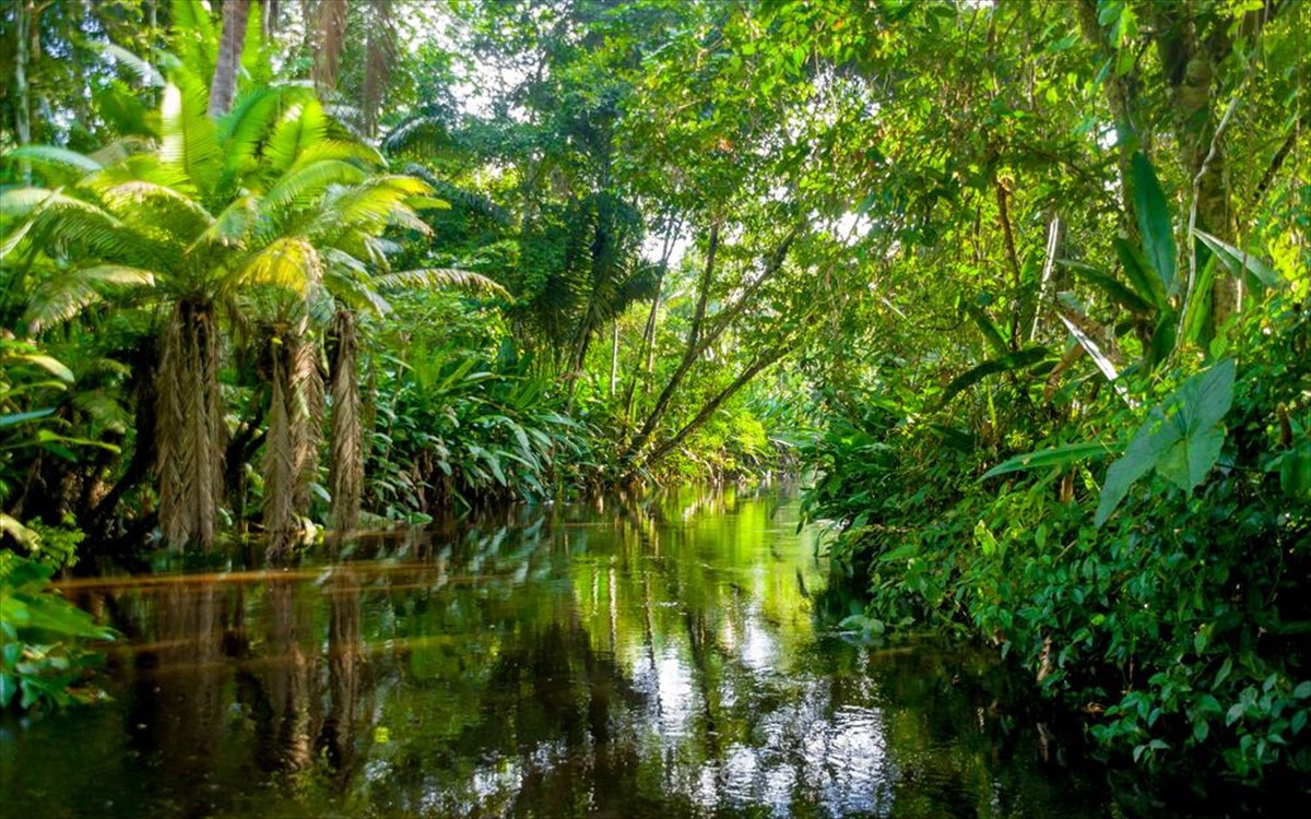 Αυστραλία: 48χρονη γυναίκα επιβίωσε σε δάσος για πέντε μέρες με κρασί και γλειφιτζούρια (βίντεο)