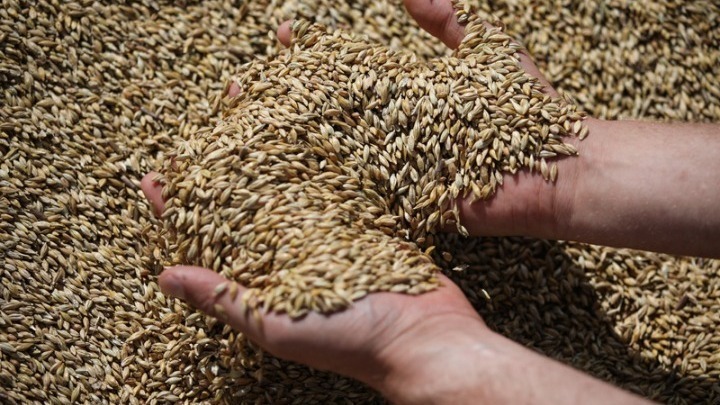 Τετραμερή συνάντηση για τα σιτηρά στην Κωνσταντινούπολη ανακοίνωσε η Ρωσία