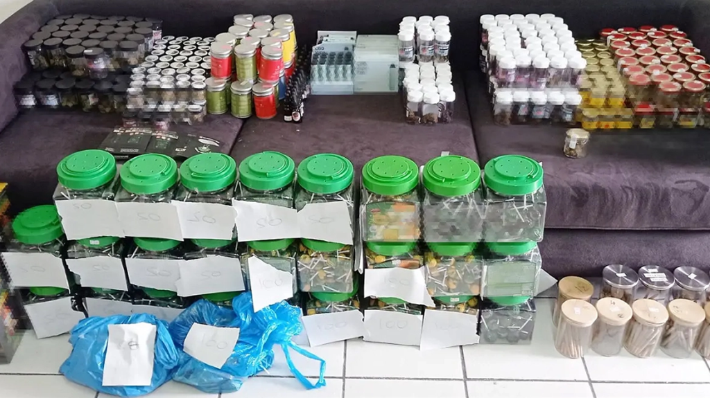 Σαντορίνη: Τρία καταστήματα πωλούσαν και επέτρεπαν τη χρήση ναρκωτικών – Επτά συλλήψεις (φώτο)