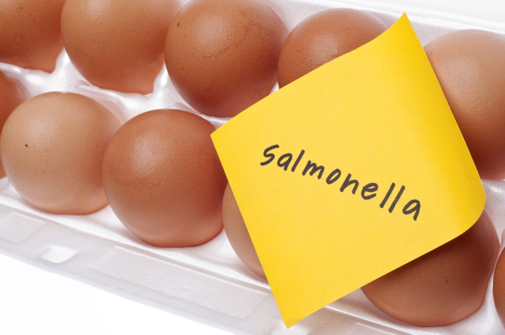 Σαλμονέλα: Τα πρώτα συμπτώματα που πολλοί τα μπερδεύουν με γαστρεντερίτιδα