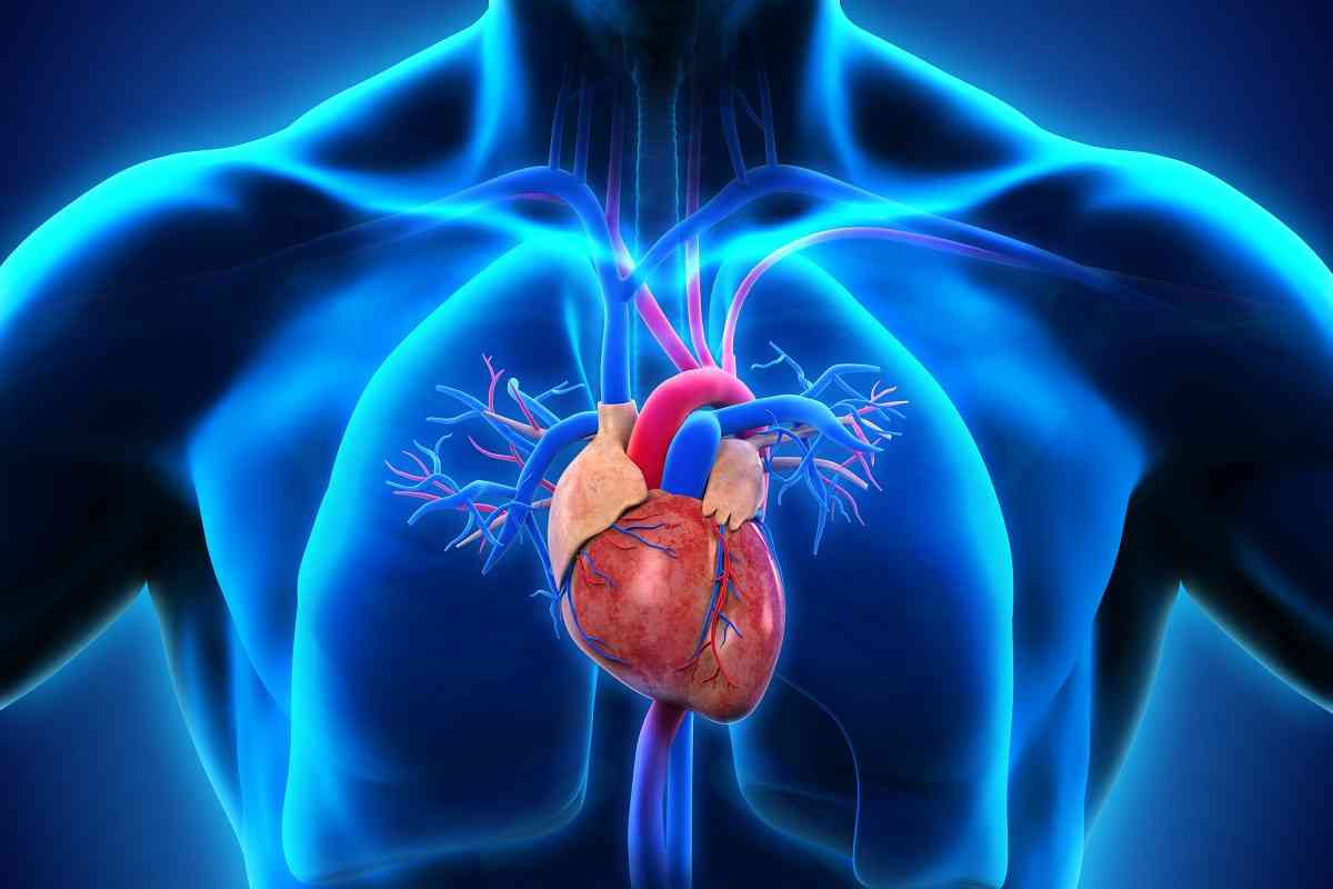 Τέσσερις τροφές που θα θωρακίσουν την καρδιά σας