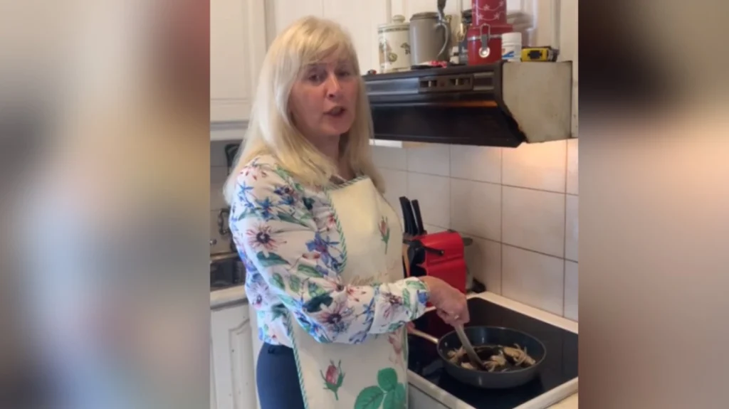 Η Ε.Αυλωνίτου του ΣΥΡΙΖΑ ζητάει από την κουζίνα της να… τηγανίσουν τον Μητσοτάκη (βίντεο)
